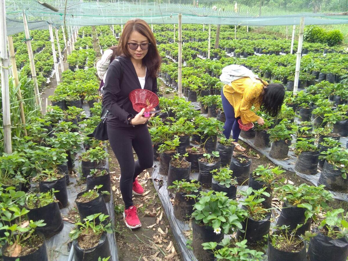 Ijen Bondowoso Home Stay מראה חיצוני תמונה